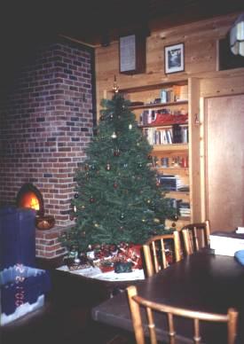 Owlcroft House: the north wall of the Living Room, east of the heater (with 
Christmas tree in place).