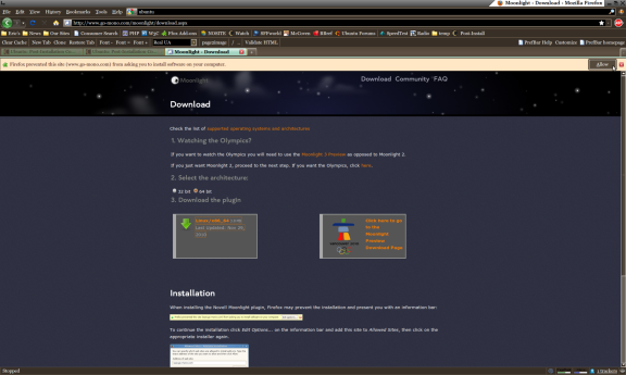 Moonlight-install web page (minimized)